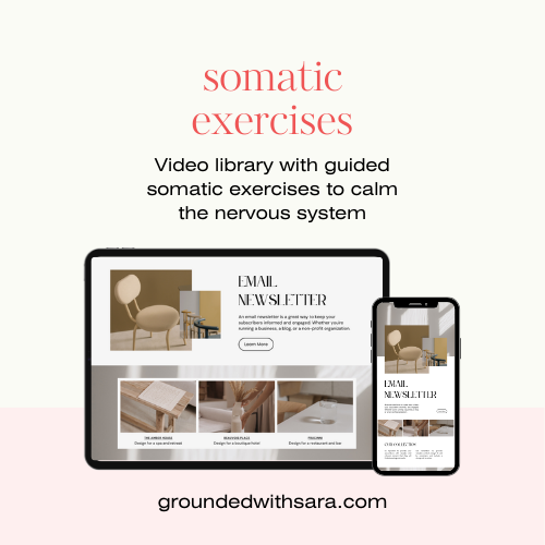 Nervous System Regulation Workbook